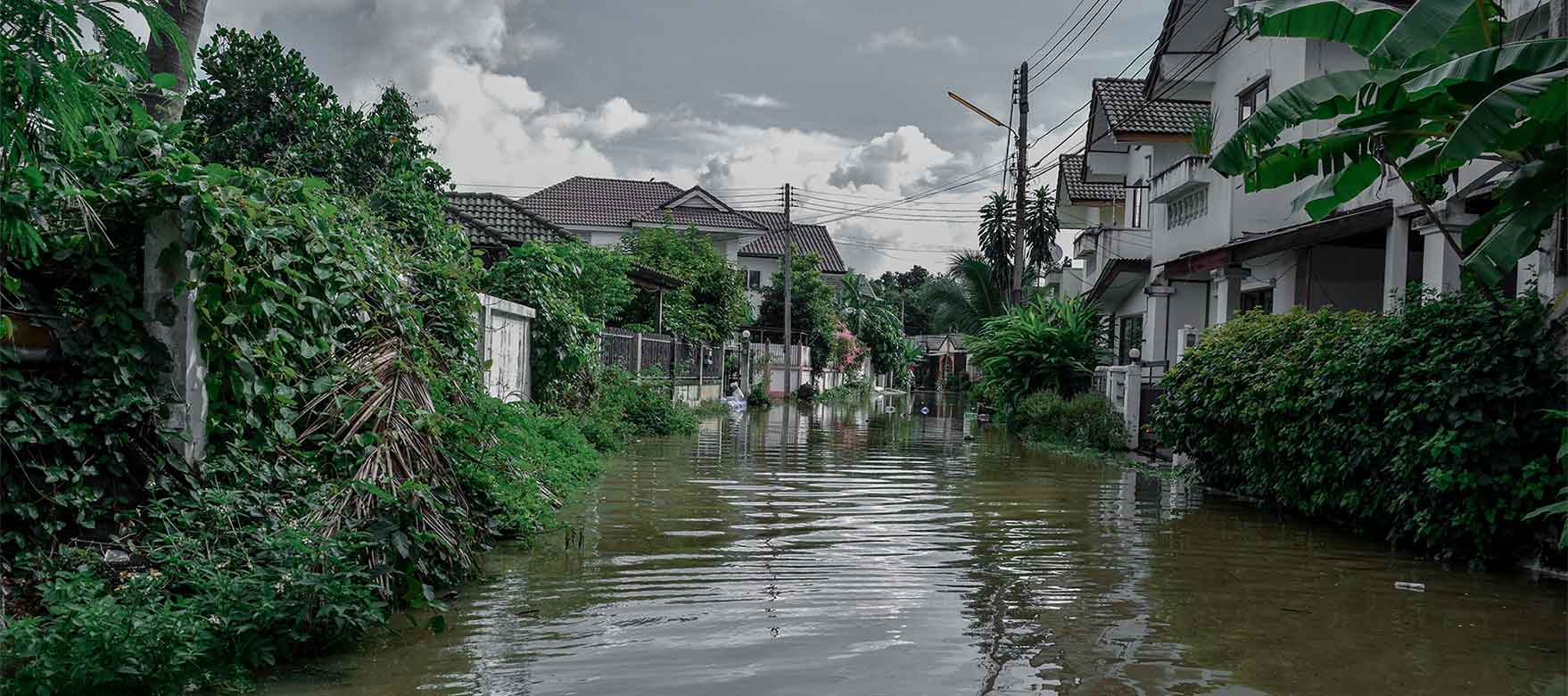 Scammers after the storm